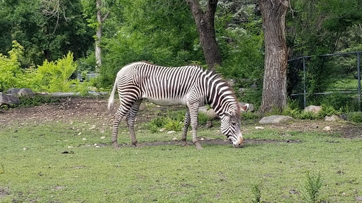 Edmonton Valley Zoo